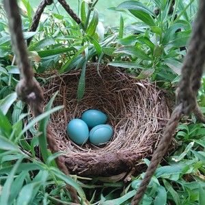 Meet your Posher, Kristin